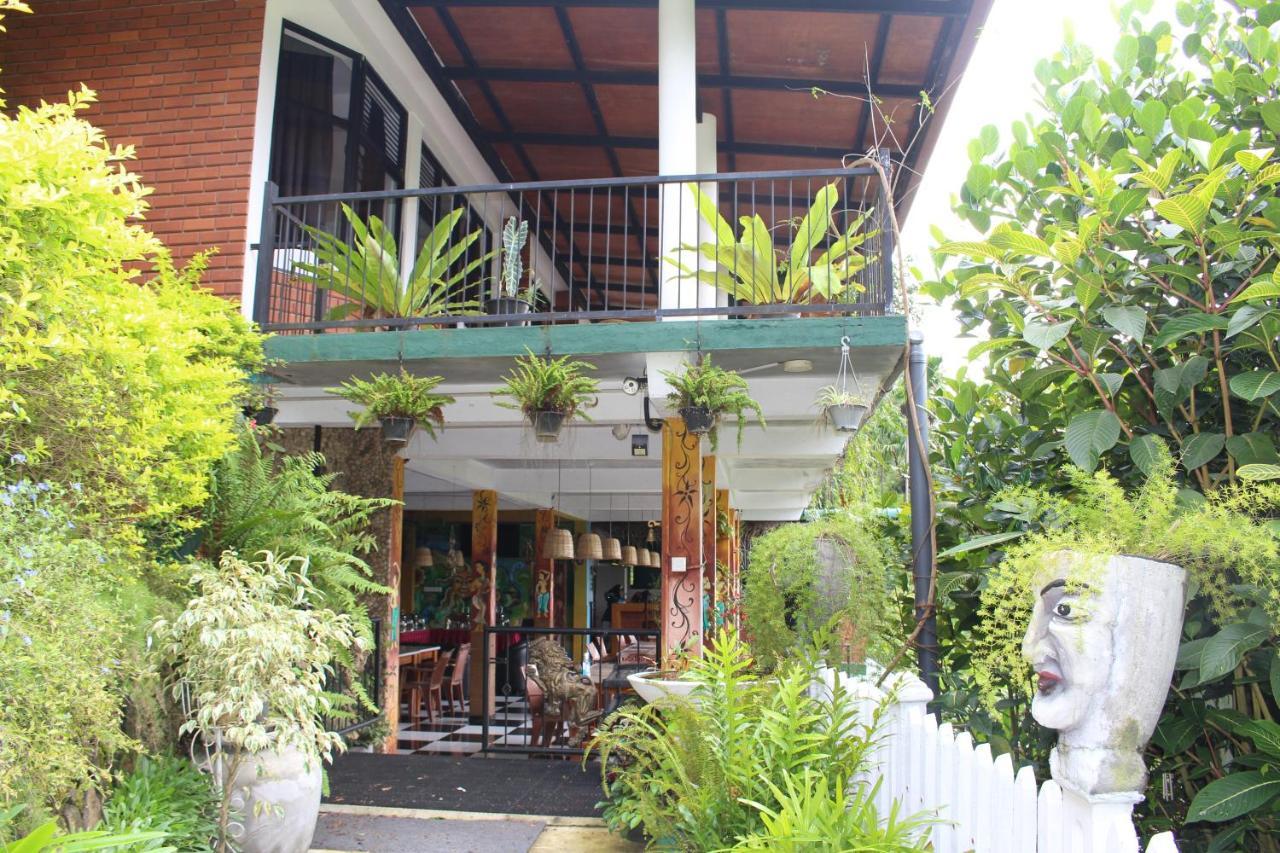 Rock Side Inn - เอลลา ภายนอก รูปภาพ